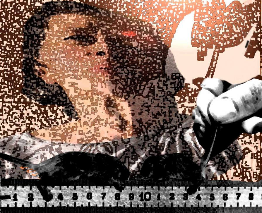 Weltweit Hunger Tag, Malnourished laboratory investigation 3 Weltweit Hunger Tag, Malnourished laboratory investigation 3