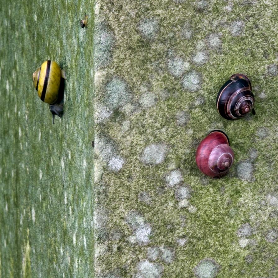 Monologue of the lens Monologue of the lens