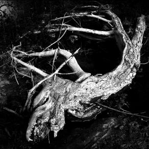 CARCASSA ABBANDONATA DAL FIUME