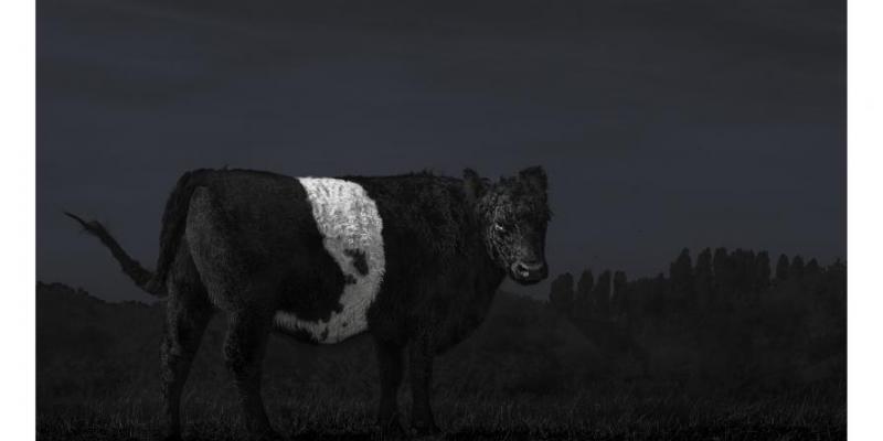 Royal Academy Summer Exhibition 2017 Royal Academy Summer Exhibition 2017