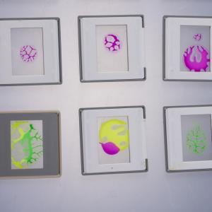 C o s m o | life forms 