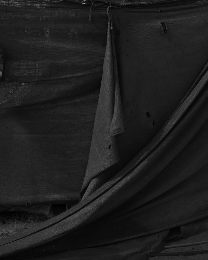 Senza titolo dalla serie 