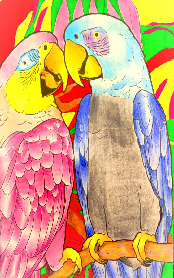 L’eco andò dal pappagallo a rimproverarlo perché parlava troppo.