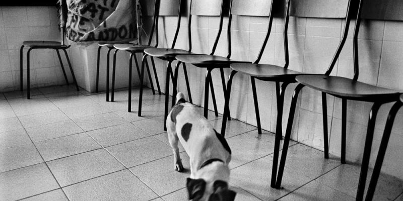 MAD Jolly - Jamila Campagna "L'occupazione della Tacconi sud" MAD Jolly - Jamila Campagna "L'occupazione della Tacconi sud"