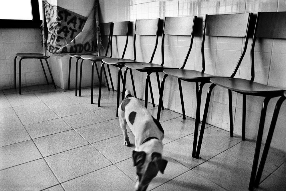 MAD Jolly - Jamila Campagna "L'occupazione della Tacconi sud"