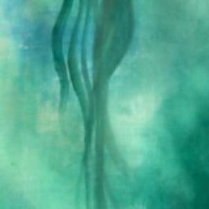 Alberto Zamboni, Deep