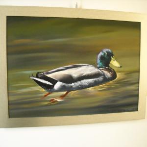 Altra Natura a Revere (mn)