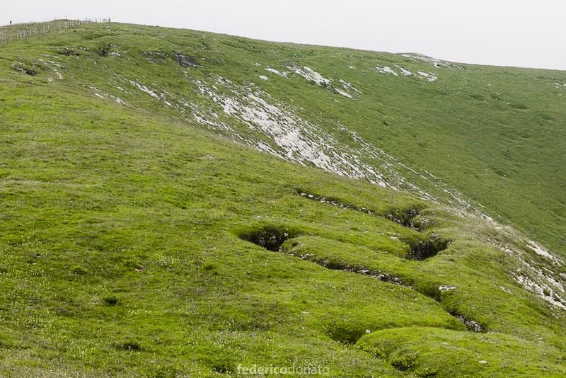 Federico Donato, Cento