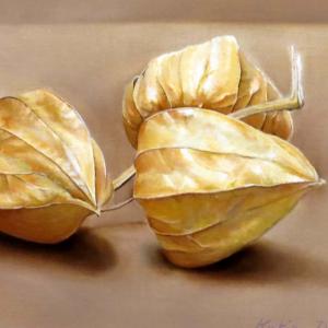 TRA REALISMO E IPERREALISMO al CLUB LA MERIDIANA DI MODENA