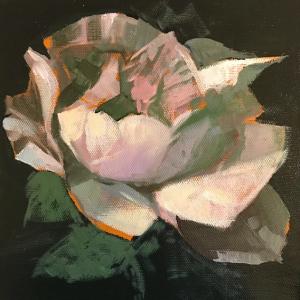 PROFUMI E COLORI MOSTRA A MODENA