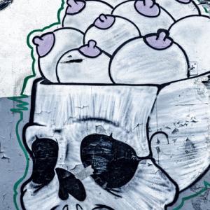 Carlo Vannini, Reggiane