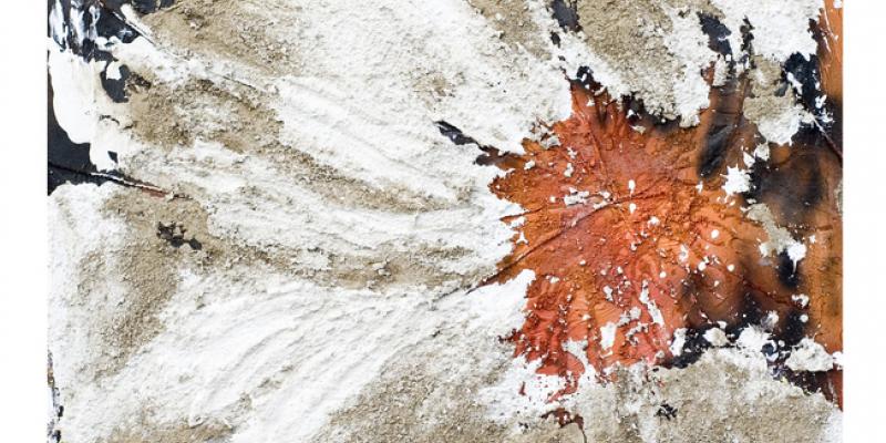 Mostra personale di Rachele Mari-Zanoli La vita nel colore