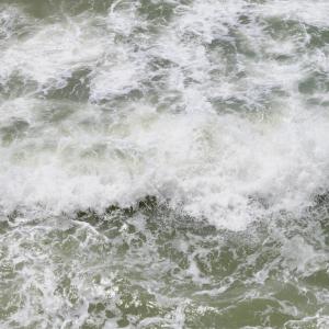 menzioni d'onore all' "International Photography Awards"