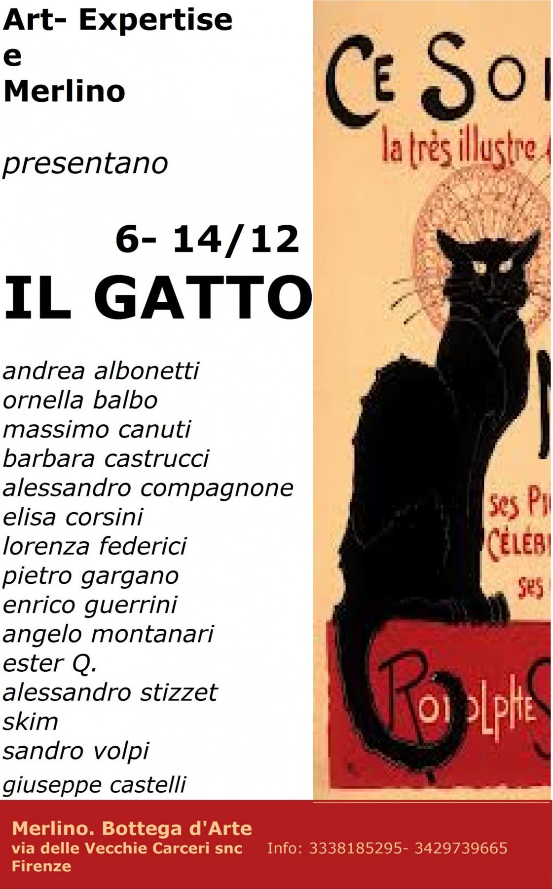 Il gatto