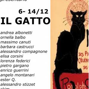 Il gatto