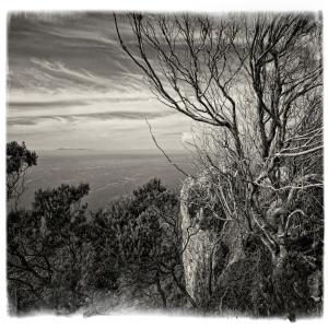 MAD ON PAPER fotografia incisione e pittura “Sulla scala rossa de La Feltrinelli” Paolo PETRIGNANI “ll Parco del Circeo. Immagini di storia, natura e mito” photo exhibition