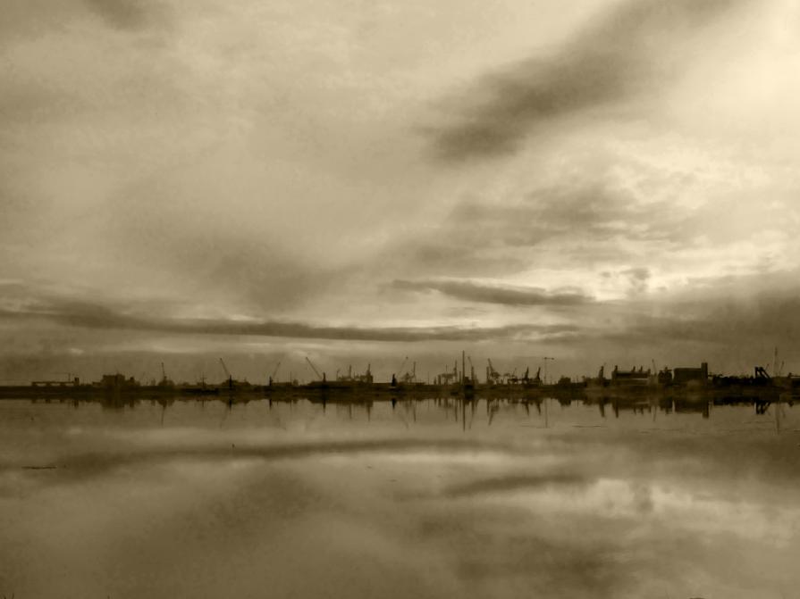 Scar | Cicatrice Scar | Cicatrice