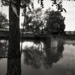 Rural life in the Czech Republic