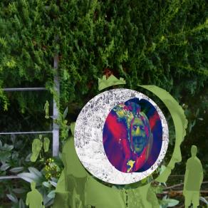 Stadt xy cats and some things others