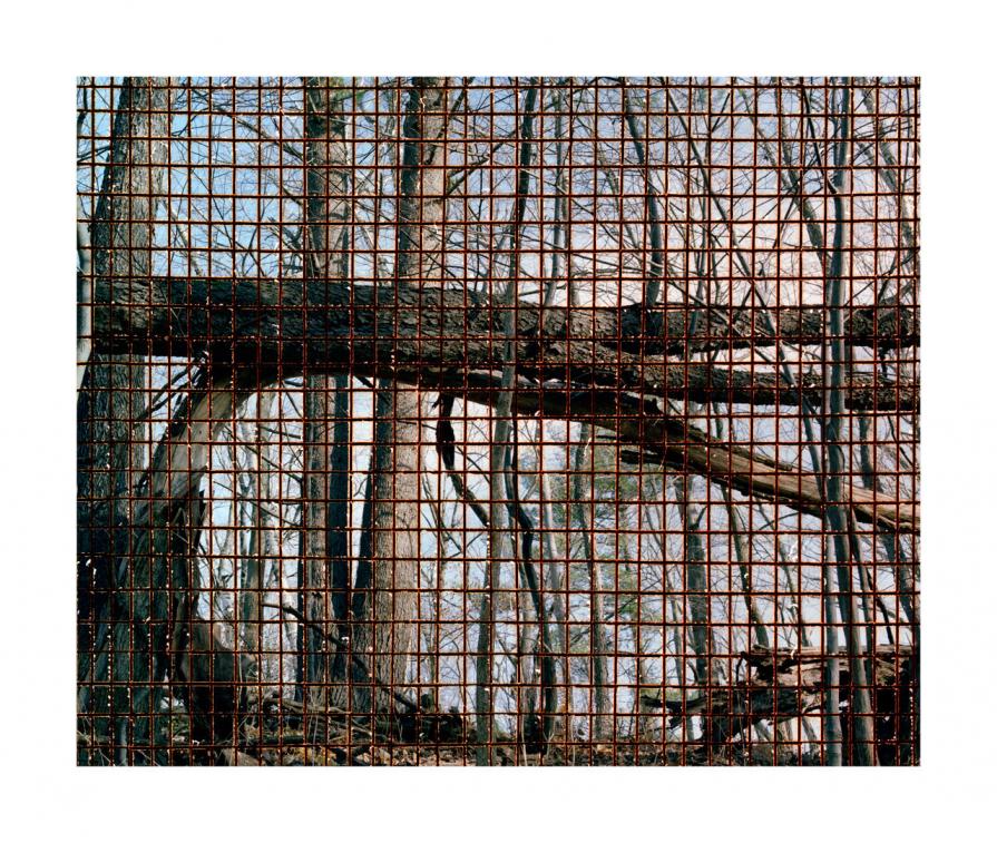 Broken Grid #9 Broken Grid #9