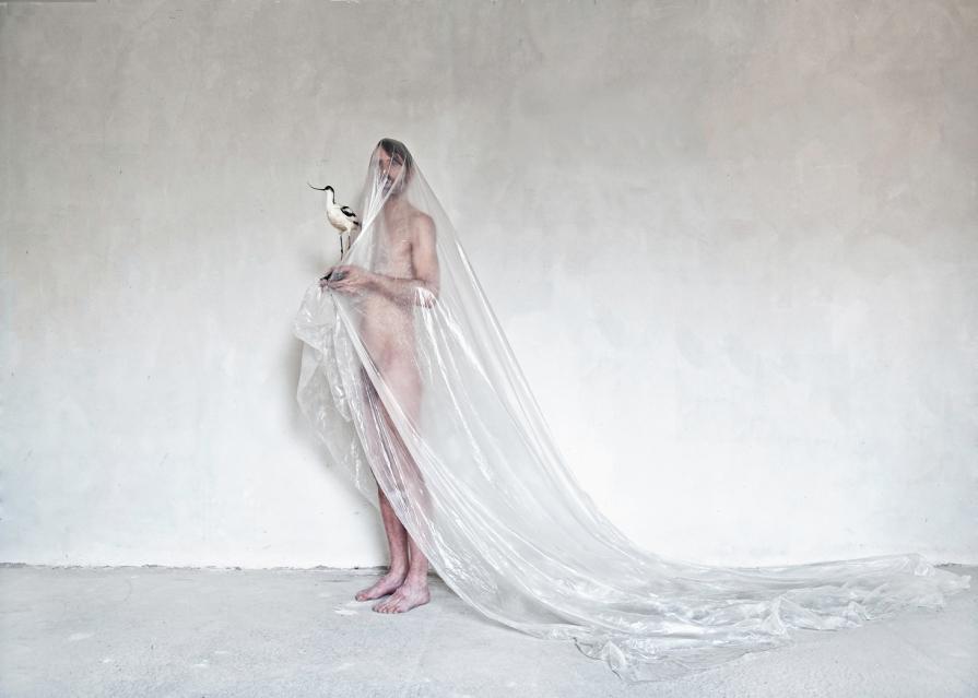  MY FATHER THOUGHT, IT BLOODY QUEER! 