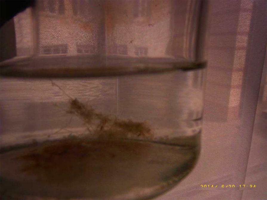 L'estorsione dalla cantina  1