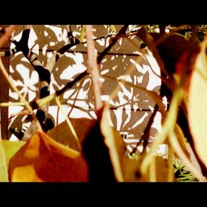 Layers and Shadows 2015