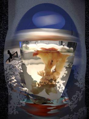 The Return of The Apple  to Sky