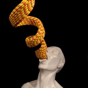 Health (a pills swallower)