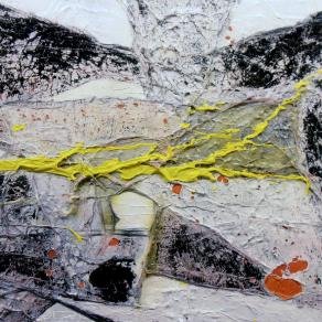 Artistic Plastic Surgery#3