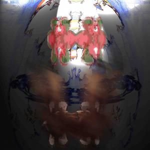 Human Brain 14 Human Brain 14