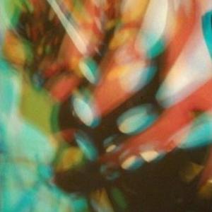 I colori della biodiversità -2015