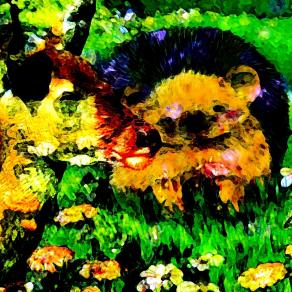 Che fretta c'era !!!