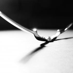 Nutcracker Nutcracker