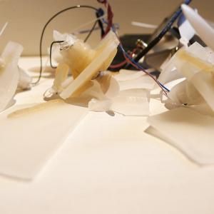 Of the ongoing struggles against a gravity