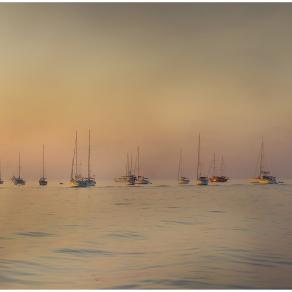 Stromboli - "Alberi" a mare Stromboli - "Alberi" a mare