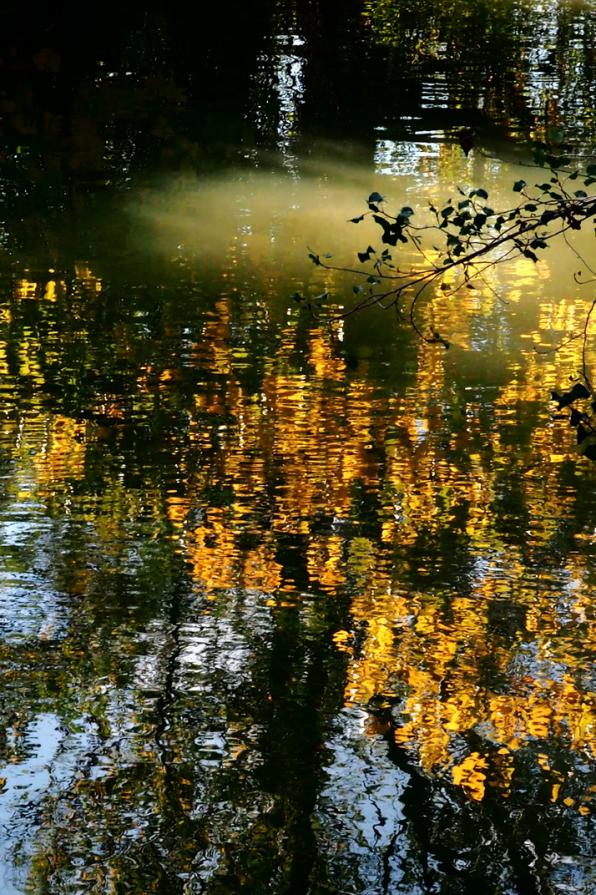 Riflesso d'autunno  - Autumn reflection -