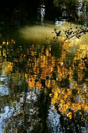 Riflesso d'autunno  - Autumn reflection -