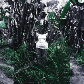 Invisible Stories on Silver Surfaces