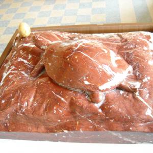 Altra Natura a Revere (mn)