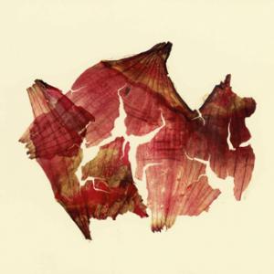 Sconfinamenti. Vintage ed Unicum di Nino Migliori