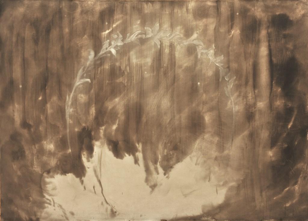 Luigi Ghirri e Omar Galliani, Spazio Siderale