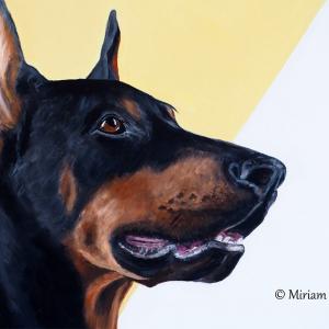 ANIMALS ART A PALAZZO DUCALE