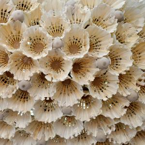 Shared Space - Spazi Comuni