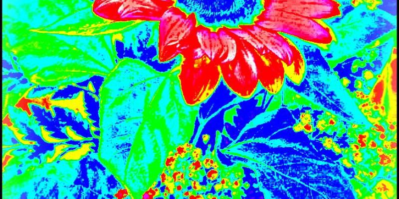 Per voi amici Per voi amici