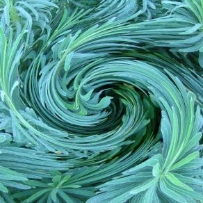 vortice confusionale 1