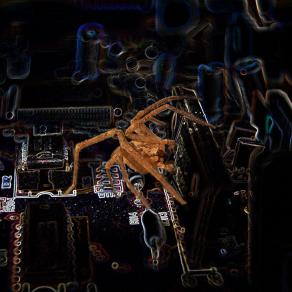 senza titolo senza titolo