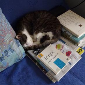 Le chat qui aimait les maths !