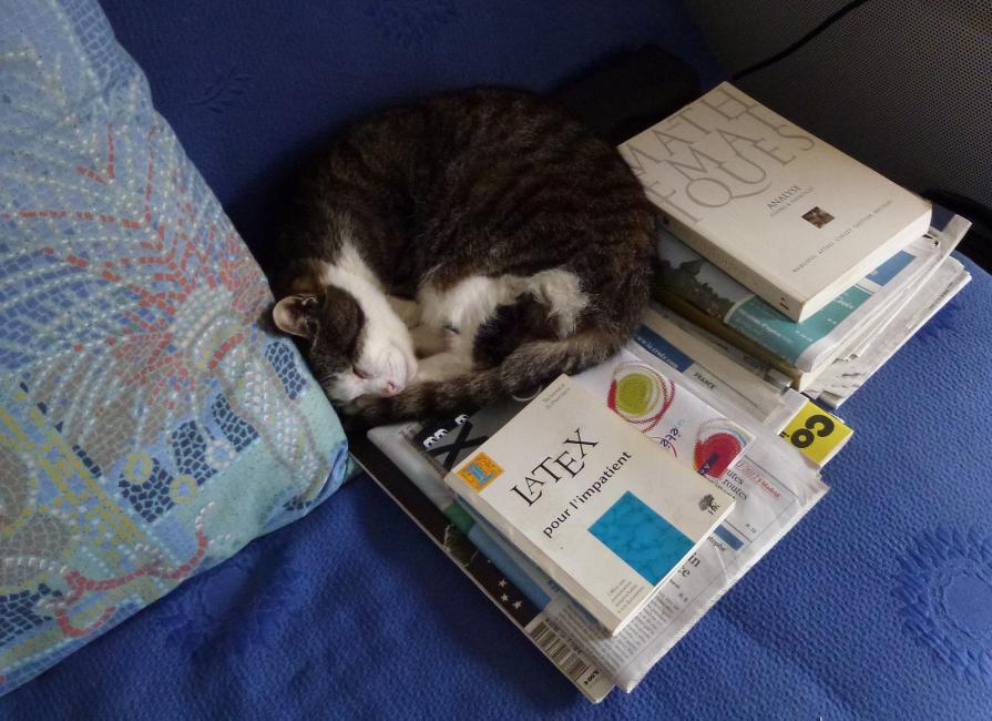 Le chat qui aimait les maths !
