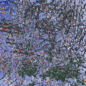 Environment, Pixel and cigarette butts 